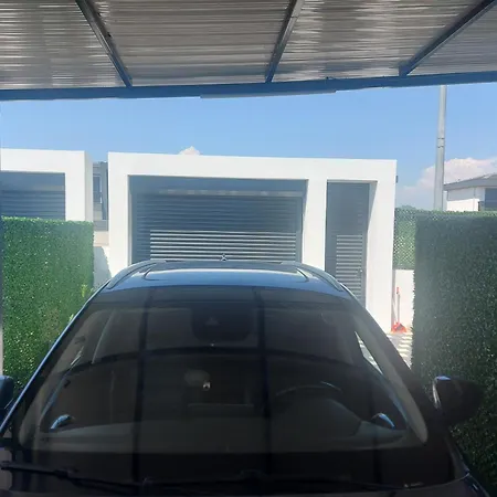 فيلة Sebus بيليك